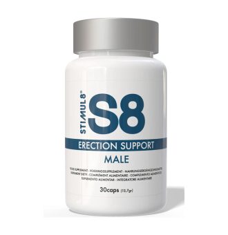 S8-erection support